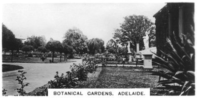 Botanisk hage, Adelaide, Australia, 1928 av Unbekannt