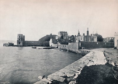 Branksea Island - generell utsikt over slottet, 1895 av Unbekannt