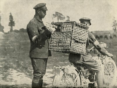 British Army Carrier Pigeons i Frankrike, 1919. av Unbekannt