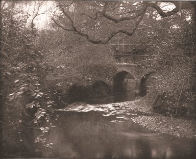Bekk og bro i New Forest, Hampshire, 1894. av Unbekannt