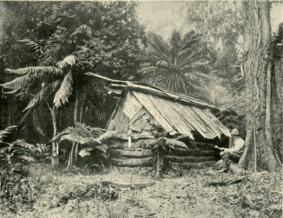 Bush Hut, Dandenong Ranges, Victoria, 1901. av Unbekannt