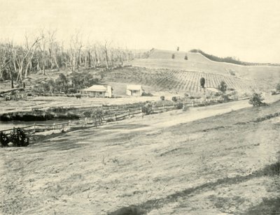 Bush Workmans Home, Gippsland, Victoria, 1901. av Unbekannt
