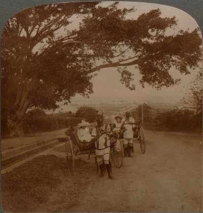 Drosjer tegnet av innfødte på en boligvei, Durban, S. Afrika, c1900 av Unbekannt