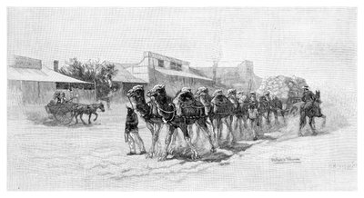 Kamelteam, Wilcannia, New South Wales, Australia, 1886 av Unbekannt