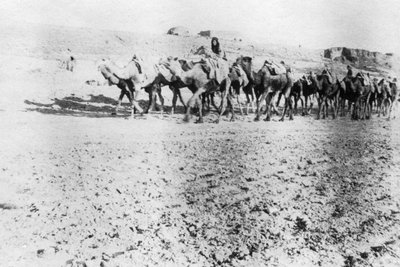Kameltog, Mosul, Mesopotamia, 1918 av Unbekannt