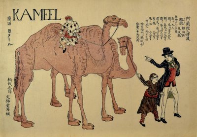 Kameler med nederlandske håndtere, ca. 1821. av Unbekannt