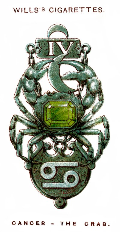 Kreft, Krabben, 1923 av Unbekannt