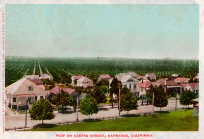 Castro Street, Hayward, California, 1905 av Unbekannt