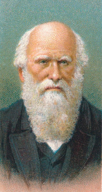 Charles Darwin 1809-1882, britisk naturforsker, 1924 av Unbekannt