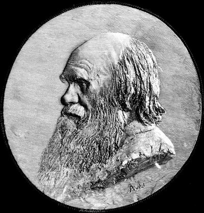 Charles Darwin, 1882 av Unbekannt