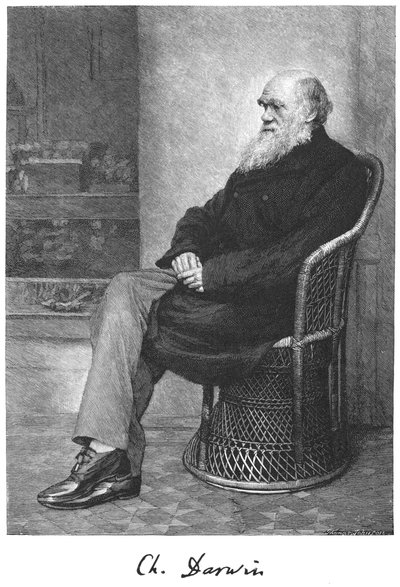 Charles Darwin, engelsk naturforsker, 1883 av Unbekannt
