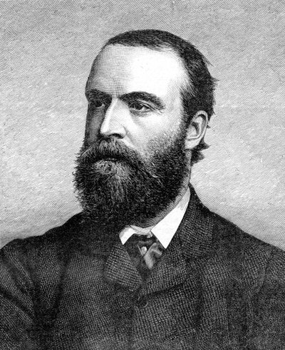 Charles Stuart Parnell , irsk politiker fra 1800-tallet, c1874-1891 av Unbekannt