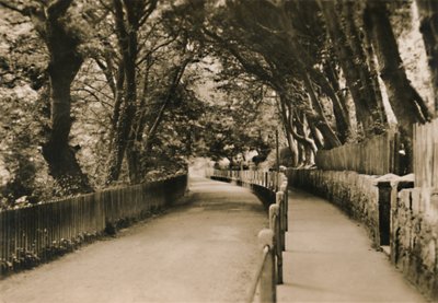 Chine Avenue, Shanklin, I.W., c1920. av Unbekannt