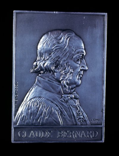 Claude Bernard , fransk fysiolog fra 1800-tallet, 1913 av Unbekannt