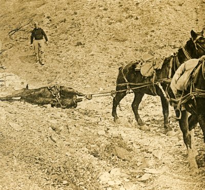 Rydder slagmarken, c1914-c1918 av Unbekannt