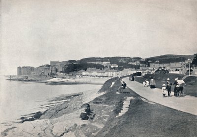 Clevedon - The Green Beach, 1895 av Unbekannt