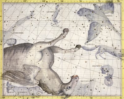 Constellation of Pegasus, 1729 av Unbekannt