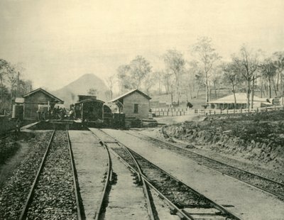 Cooran jernbanestasjon, Queensland, 1901. av Unbekannt