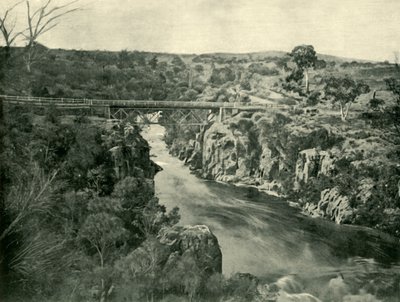 Corra Lynn, nær Launceston, 1901. av Unbekannt