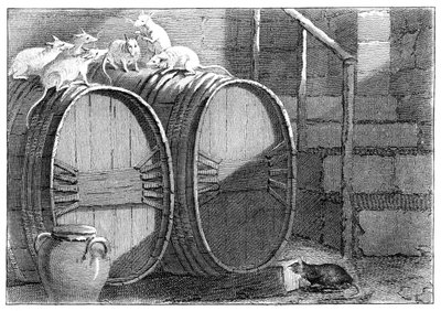 Ratssitzung der Ratten von Unbekannt