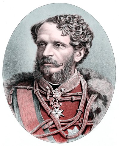 Grev Julius Andrassy 1823-1890, ungarsk statsmann, c1880 av Unbekannt