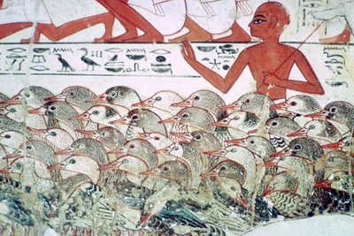 Å telle gjessene: fragment av veggmaleri fra graven til Nebamun, Theben, Egypt, c1350 f.Kr. av Unbekannt