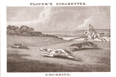 Coursing-11, 1924. av Unbekannt