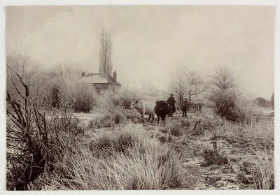 "Kyr i en frostmark", vers 1890 av Unbekannt