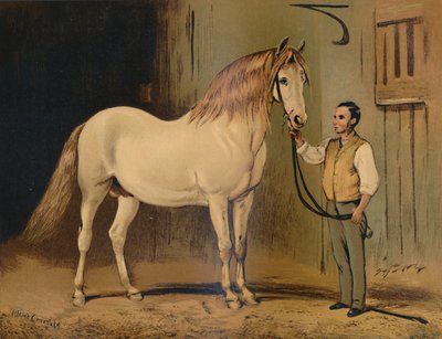 Cream State vognhest. Av Hennes Majestets Stud, c1879. av Unbekannt