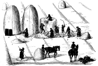 Avlingsskifte: tresking av raigras for frø, 1855 av Unbekannt