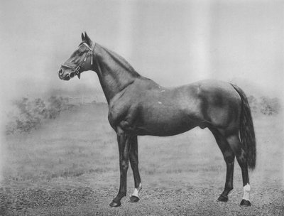 Cyllene, 1911 von Unbekannt