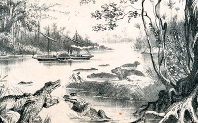 David Livingstone navigerer i Zambezi, Afrika, 1852-1864 c1878 av Unbekannt