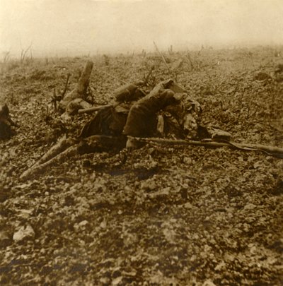 Død soldat på Hill 304, etter slaget ved Verdun, Nord-Frankrike, 1916 av Unbekannt