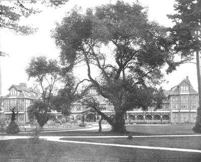 Del Monte, Monterey, California, USA, c1900. av Unbekannt