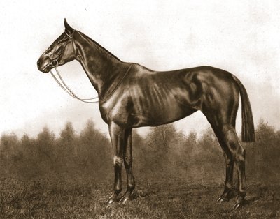 Demure, 1911. av Unbekannt