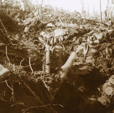 Ødelagt ly, Les Éparges, Nord-Frankrike, 1915. av Unbekannt