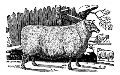 Dishley New Leicester sau, 1811 av Unbekannt