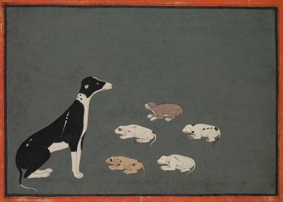 Hund med valper, ca. 1780. av Unbekannt