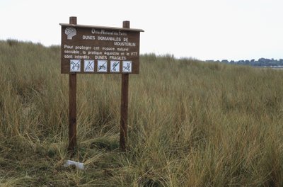 Dunebeskyttelsespanel av Unbekannt
