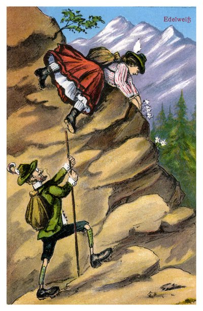 Edelweiss, slutten av 1800- eller begynnelsen av 1900-tallet av Unbekannt