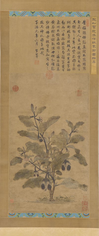 Aubergine, Ming-dynastiet, 1368-1644. av Unbekannt
