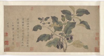 Aubergine, Yuan eller Ming-dynastiet, 1300-tallet. av Unbekannt