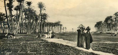 Egypt – innfødte kvinner, c1918-c1939. av Unbekannt