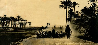 Egypt - Shepherd kjører hjemover, c1918-c1939. av Unbekannt