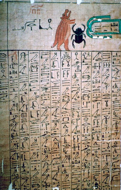 Egyptiske hieroglyfer fra en dødebok av Unbekannt
