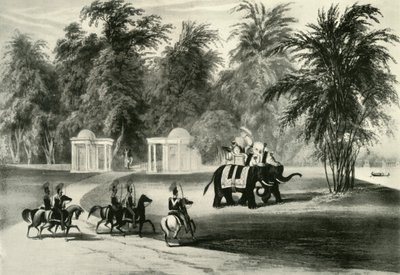 Elefanter og kroppsvakt i Barrackpore Park, 1820, 1925. av Unbekannt