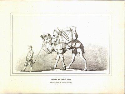 En Kamel med fører fra Sardes. Illustrasjon hentet fra boken Brogede rejsebilleder av Jerichau-Baumann, Elisabeth og utgitt av Forlagsbureauet (København, 1881) av Unbekannt