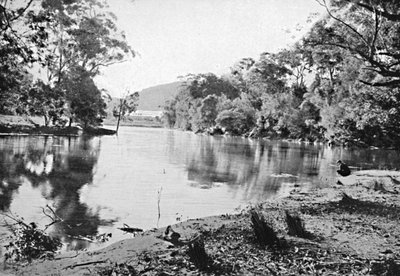 Evening Shadows, nasjonalpark, c1900. av Unbekannt