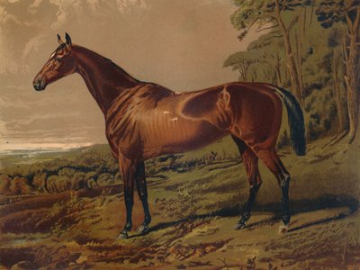 Fair Nell, c1879. av Unbekannt