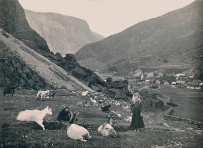Flaam, 1914. av Unbekannt